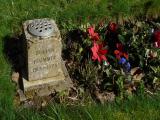 image of grave number 958636